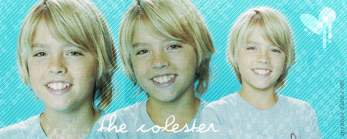 the colester -  Cinema, TV - 